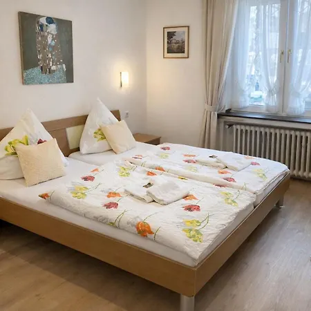 Haus Schwan Hotel 3*