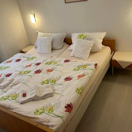 Haus Schwan Hotel 3*