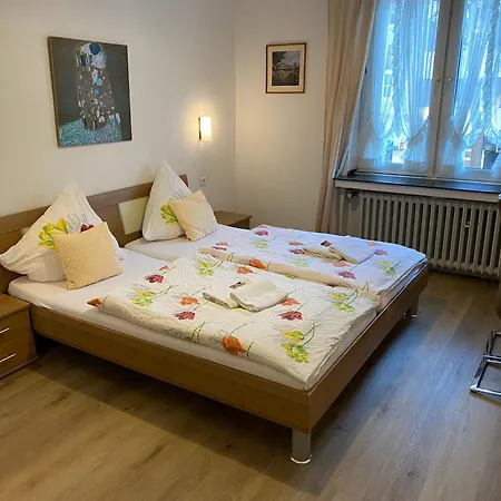 Haus Schwan ホテル