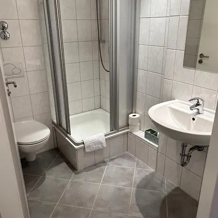ホテル Haus Schwan 3*
